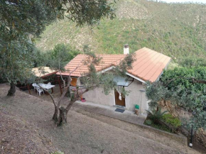 La Tana del Berü